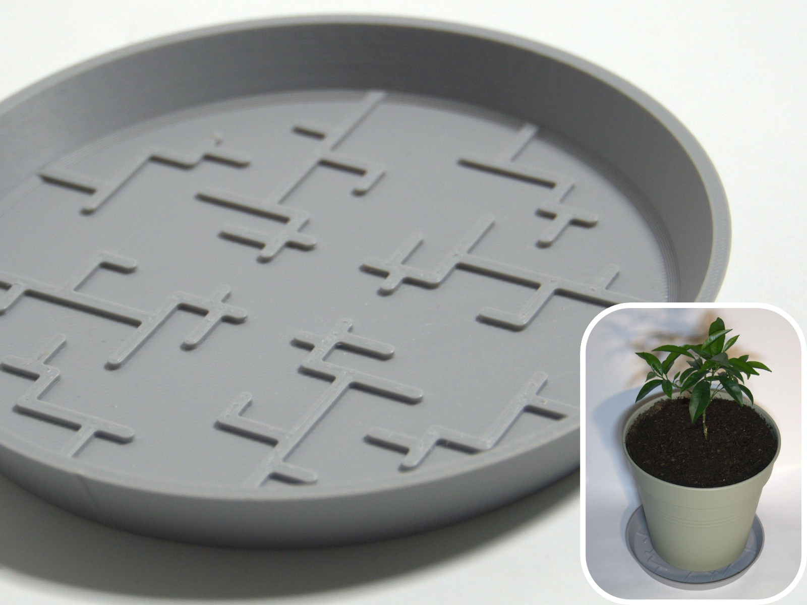 Plant Pot Saucer Japanese-Inspired Geometric 