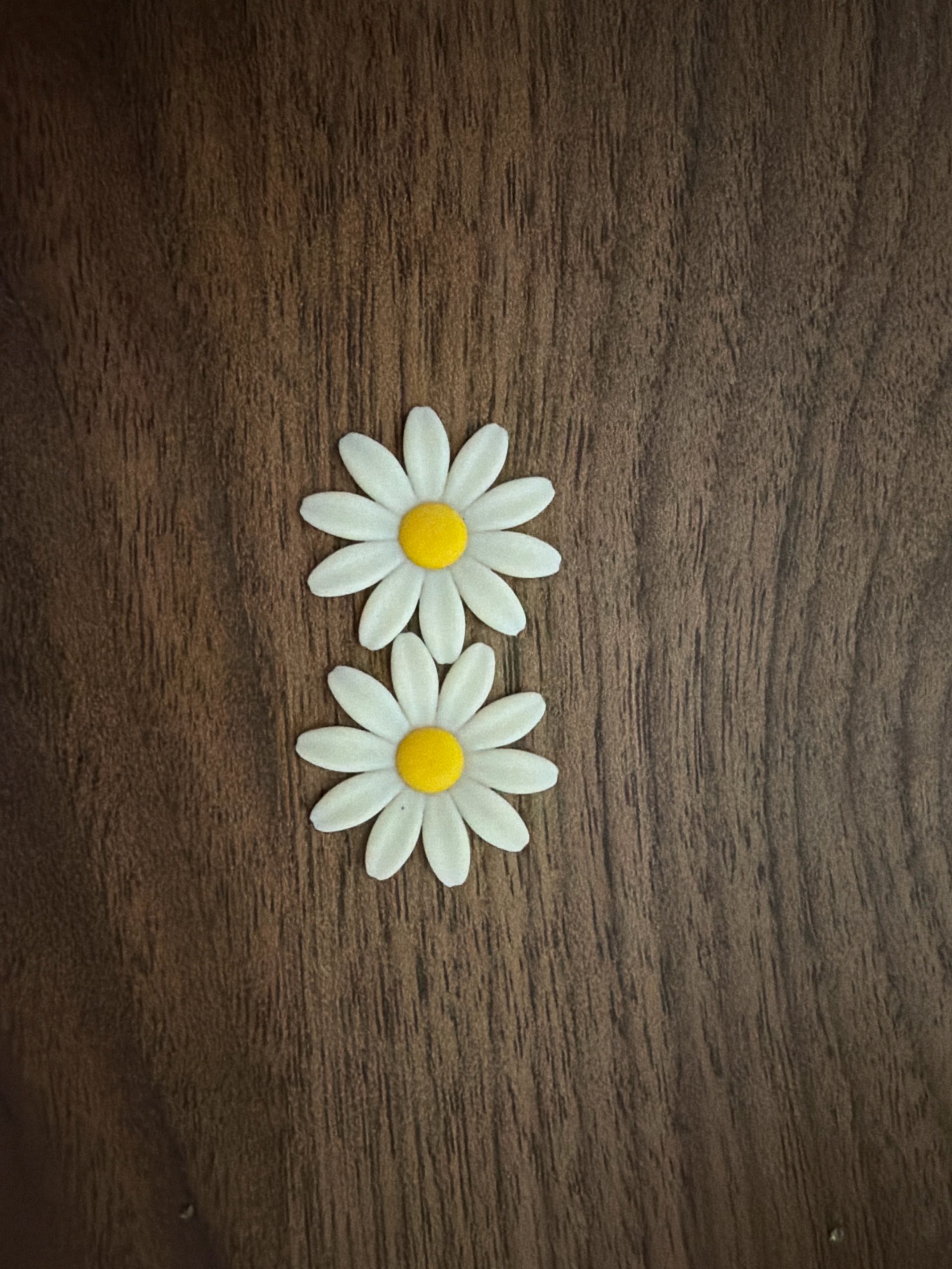 Miniatura 5 do modelo 3D Gerbera Daisy