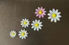 Bicolor 6 daisies on plate Ams version optimized