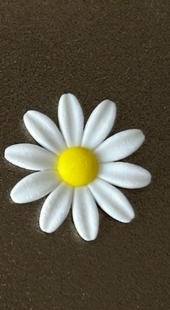Miniatura 2 do modelo 3D Gerbera Daisy