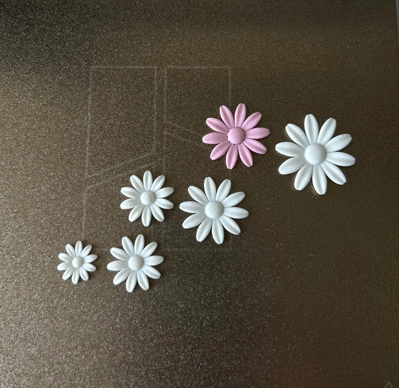 Gerbera Daisy view 3