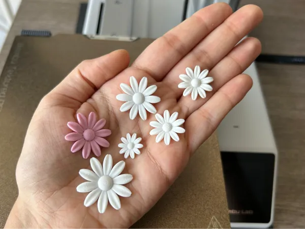 https://makerworld.bblmw.com/makerworld/model/USbbac5dd8f4980a/design/2025-08-17_d0eae7d8fef2e8.jpeg