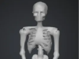 Skeleton Sitting