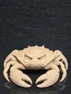 Grumpy Crab