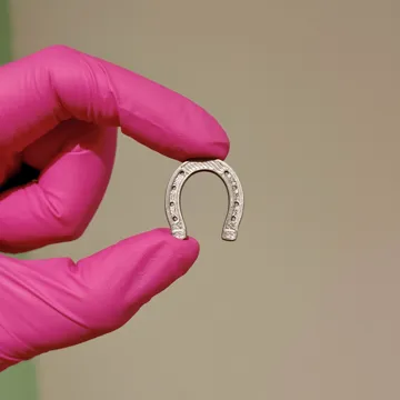 Figura decorativa: Horseshoe Miniature — vista de referencia 4