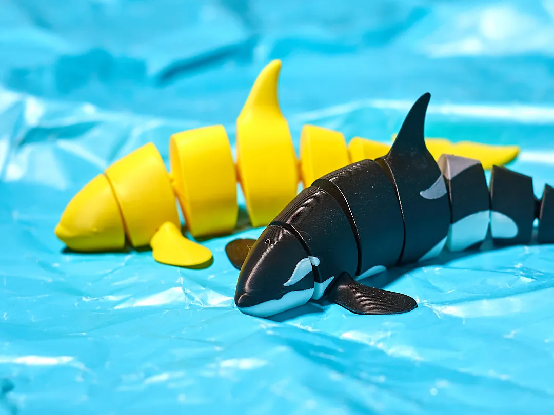 Articulated Orca view 3