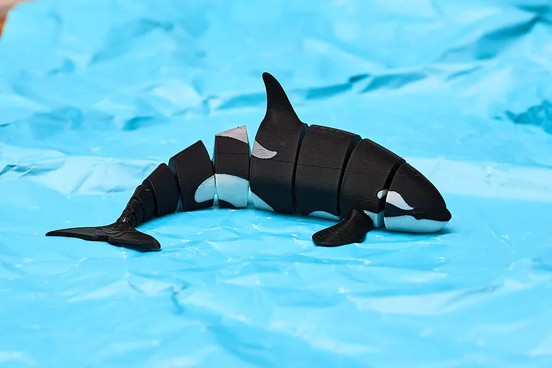 Articulated Orca view 2