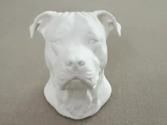 Dogo Argentino