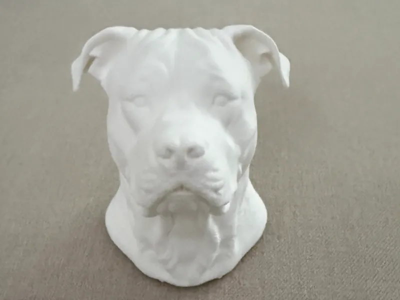 Dogo Argentino 