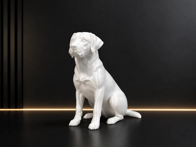 Labrador Retriever - Animal - Dog