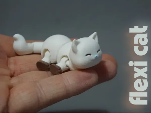 https://makerworld.bblmw.com/makerworld/model/USbbb7dbfb98ea08/design/79c6006eda54696c.png