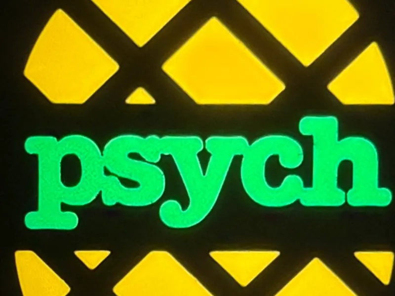 Psych Television Show Lightbox Shawn & Gus