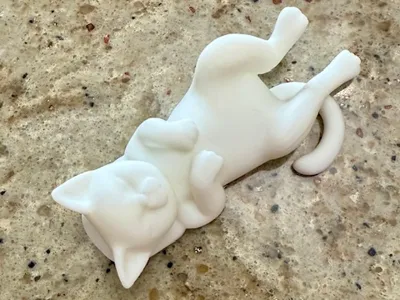 Cat Nap