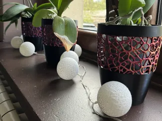 Voronoi Flower pot l Flower planter