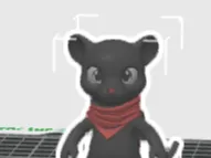 Shadow (your best emotional support panther)