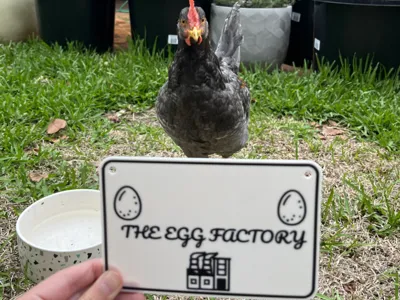 Chicken Coop Sign