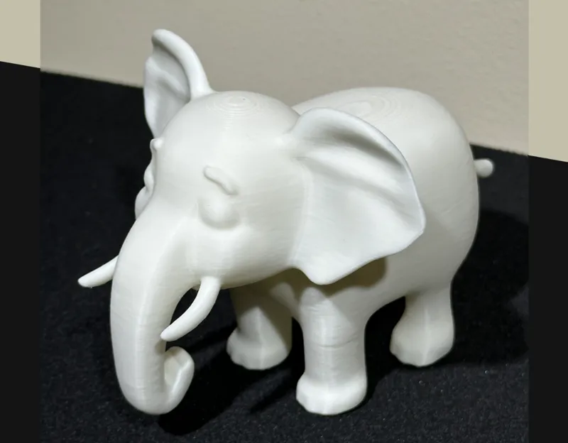 Cute elephant