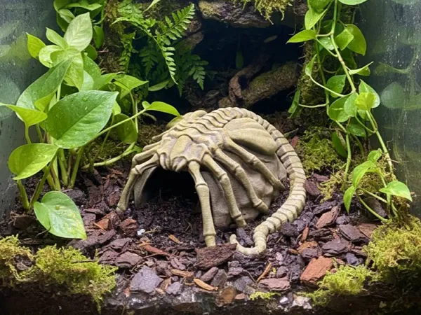 https://makerworld.bblmw.com/makerworld/model/USbbc3bbfca519ba/design/7662ad44b9d95d3e.jpg
