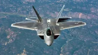 Maquette de chasseur F-22 Raptor — photo 2