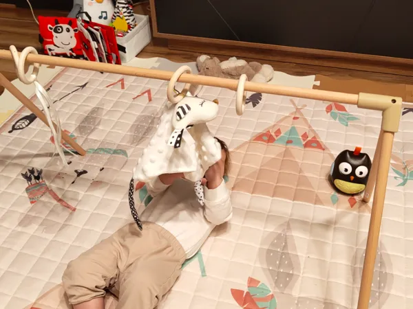 https://makerworld.bblmw.com/makerworld/model/USbbc796840391bf/design/2025-10-14_241f08881d02e.jpg