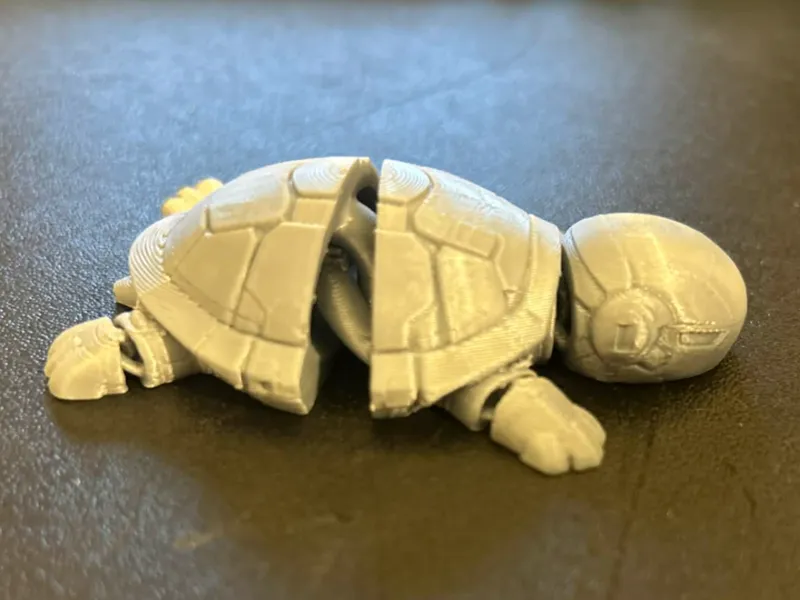 Flexi robot turtle