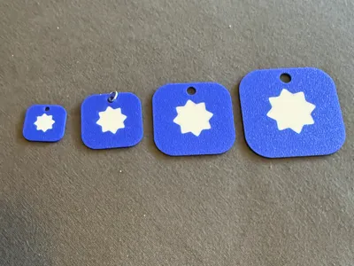Software Stewardship Lab Pendant/Earrings/Keychain