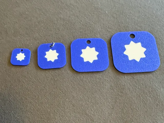 Software Stewardship Lab Pendant/Earrings/Keychain