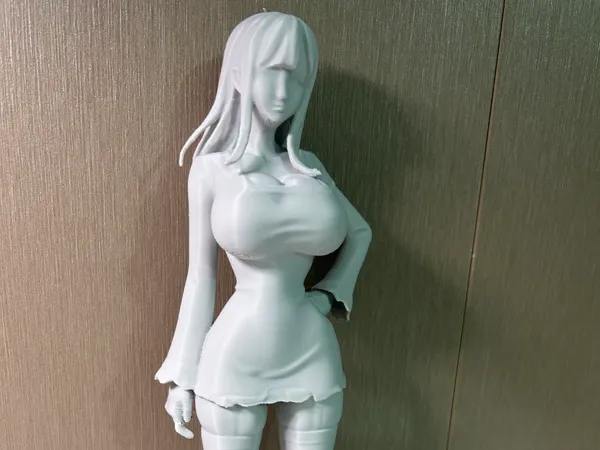 https://makerworld.bblmw.com/makerworld/model/USbbd0026727bd75/design/2025-11-18_53a3a8215c5cd8.jpg