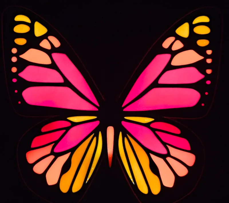 Butterfly Led Lightbox