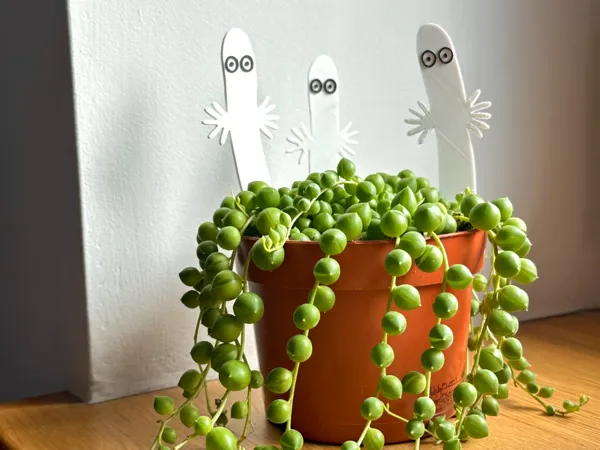 https://makerworld.bblmw.com/makerworld/model/USbbd2cda9904dac/design/9d51243fe5683fe4.jpeg