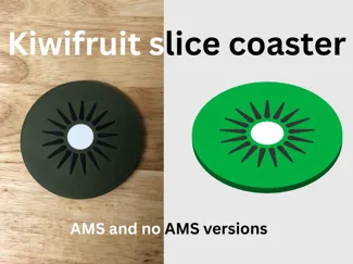 Kiwifruit slice coaster