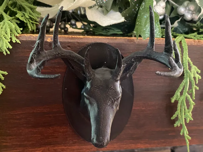 white-tailed Deer