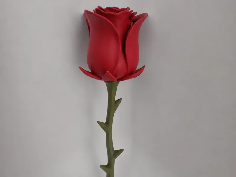 3D Druck Rose - kein AMS