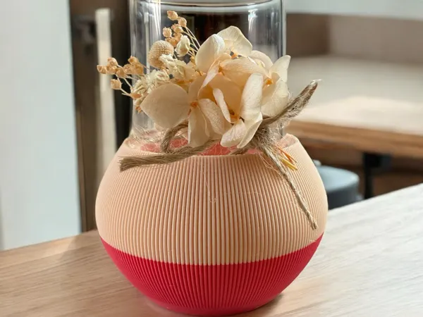 https://makerworld.bblmw.com/makerworld/model/USbbd7eaff681306/design/2025-04-26_ab777d77437b5.jpg