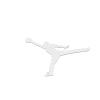 Logo Jordan — déco murale — photo 2