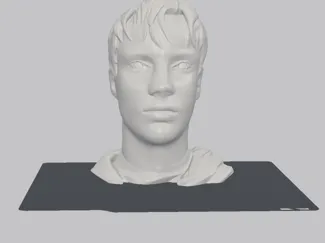 My bust
