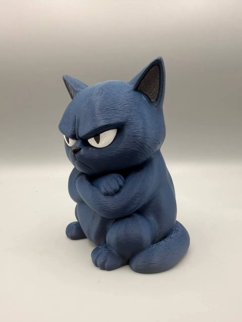 Grumpy Cat view 3