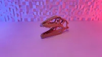 Crâne de Giganotosaure (10-25 g) — photo 3