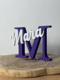 0.2mm layer, 2 walls, 10% infill