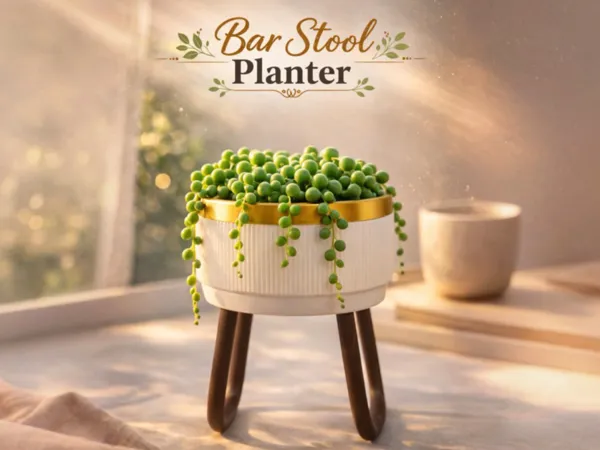 https://makerworld.bblmw.com/makerworld/model/USbbe8657c6f67e9/design/effaa8e09ecdb25f.jpeg