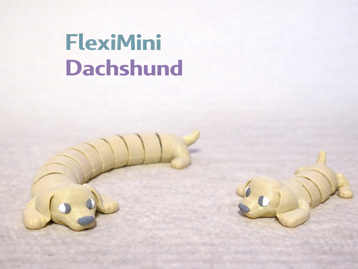 FlexiMini & XXL Dachshund
