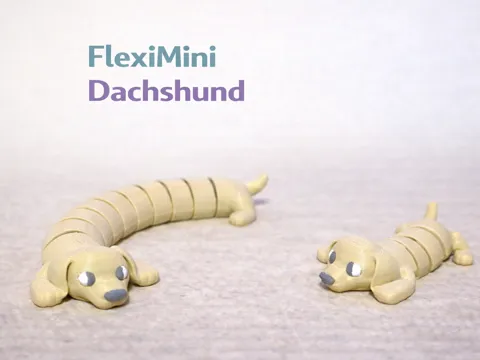 FlexiMini & XXL Dachshund
