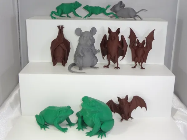 https://makerworld.bblmw.com/makerworld/model/USbbf6f0def12c1f/design/2025-10-15_cffa433502e4e8.jpg