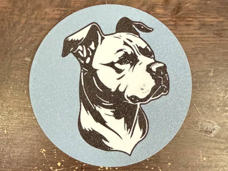Pitbull Coaster