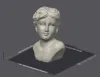 1-Color Aphrodite Bust