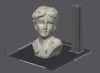 Two-Color Aphrodite Bust