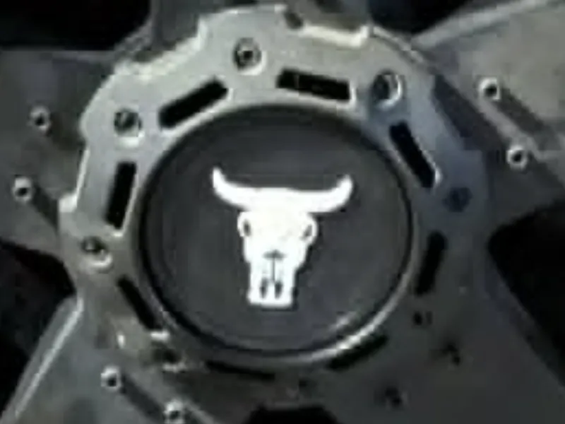 Bull Skull center cap centers / XD Rockstar II