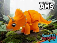 AMS - High Quality - Two Color Options (See Details)