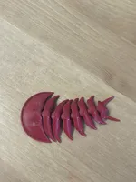 Trilobite flexible articulé — photo 2
