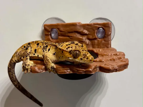 https://makerworld.bblmw.com/makerworld/model/USbc14f7c24f46eb/design/ae7173bd5eccea25.jpg